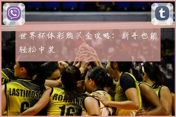 世界杯体彩购买全攻略：新手也能轻松中奖