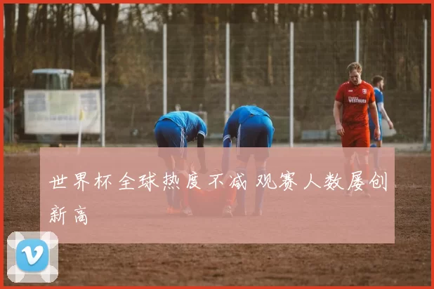 世界杯全球热度不减 观赛人数屡创新高