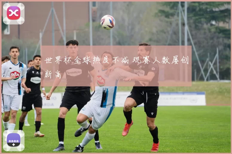世界杯全球热度不减 观赛人数屡创新高