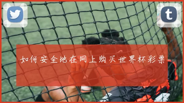 如何安全地在网上购买世界杯彩票