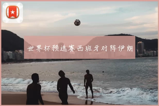 世界杯预选赛西班牙对阵伊朗