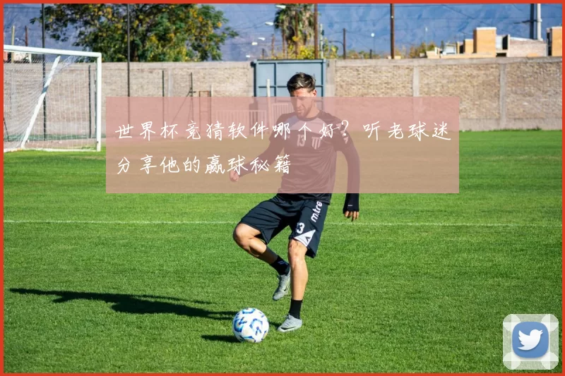 世界杯竞猜软件哪个好?听老球迷分享他的赢球秘籍