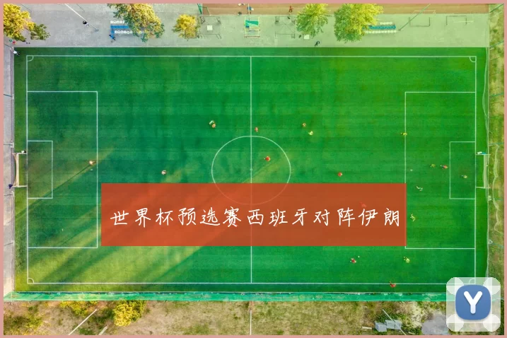 世界杯预选赛西班牙对阵伊朗