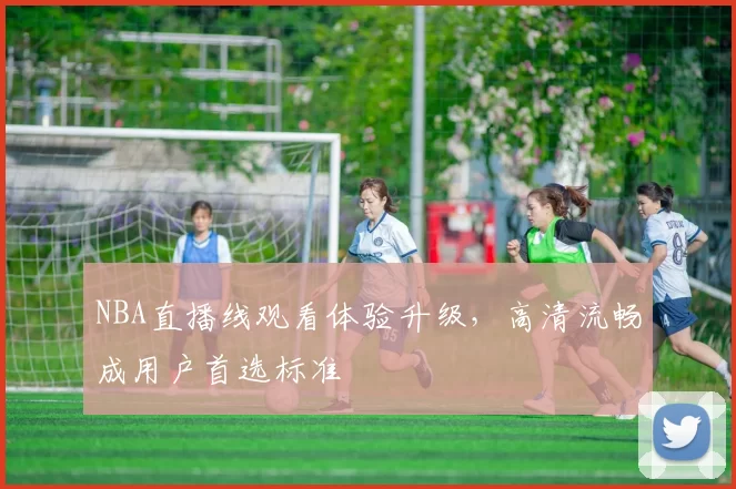 NBA直播线观看体验升级，高清流畅成用户首选标准