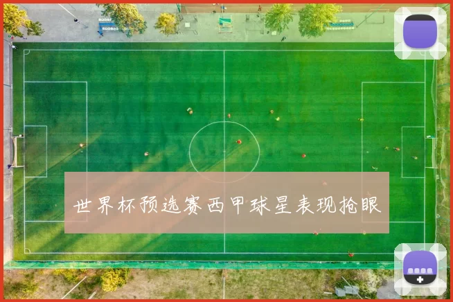 世界杯预选赛西甲球星表现抢眼
